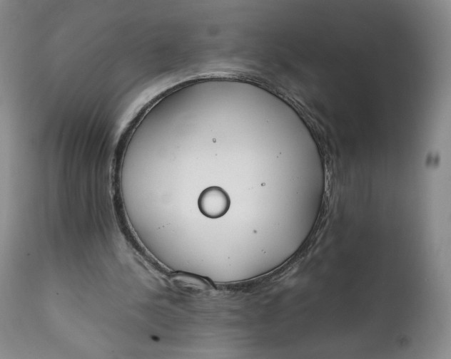 X0000111250244200907161412