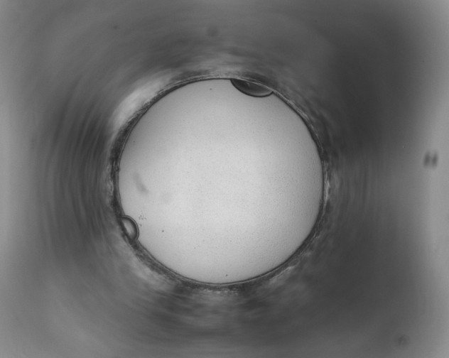 X0000111250245200907161412