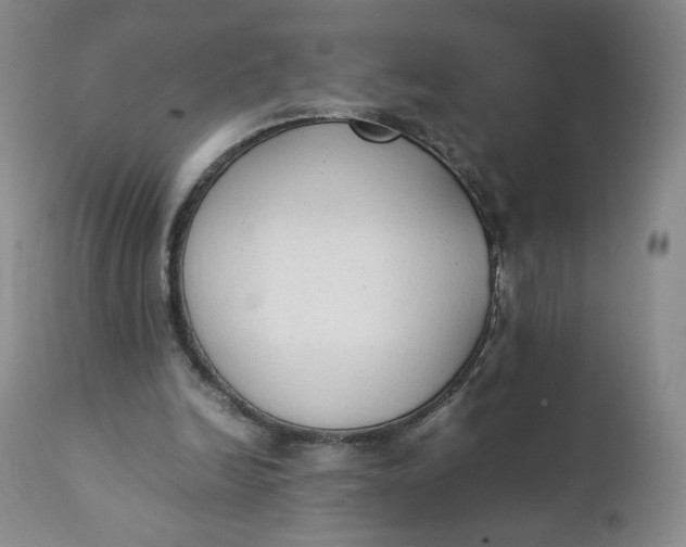 X0000111250246200907161412