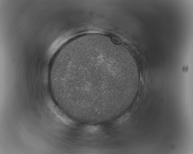 X0000111250247200907161412