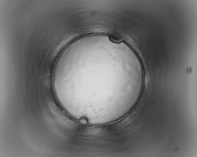 X0000111250249200907161412