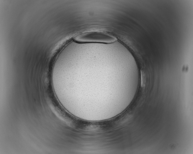 X0000111250252200907161412