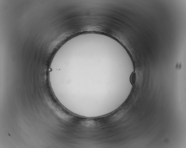 X0000111250253200907161412