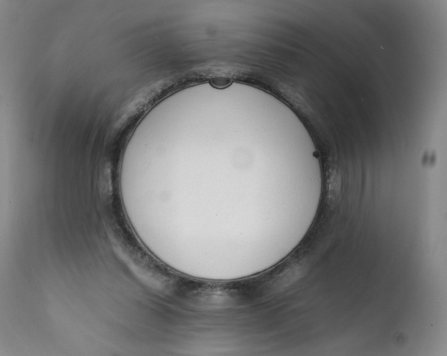 X0000111250254200907161412