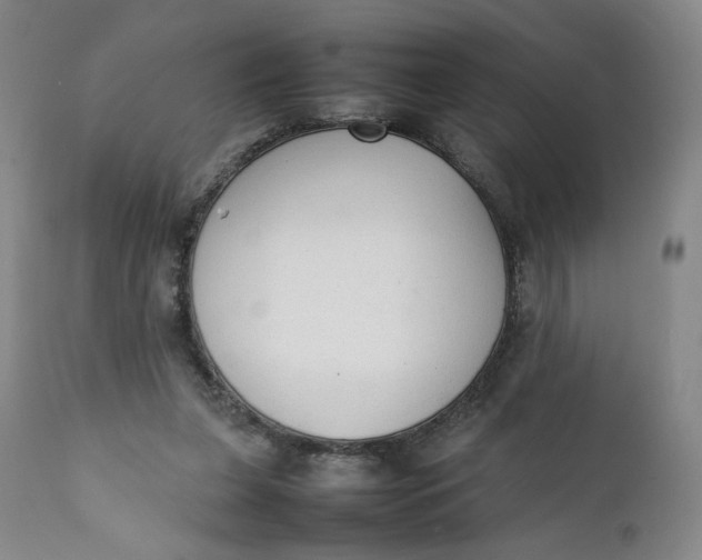 X0000111250255200907161412