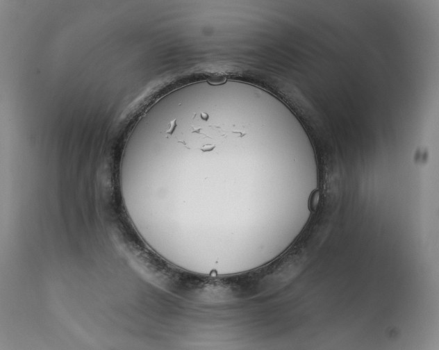 X0000111250256200907161412