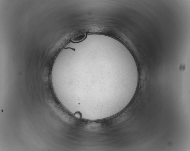 X0000111250257200907161412