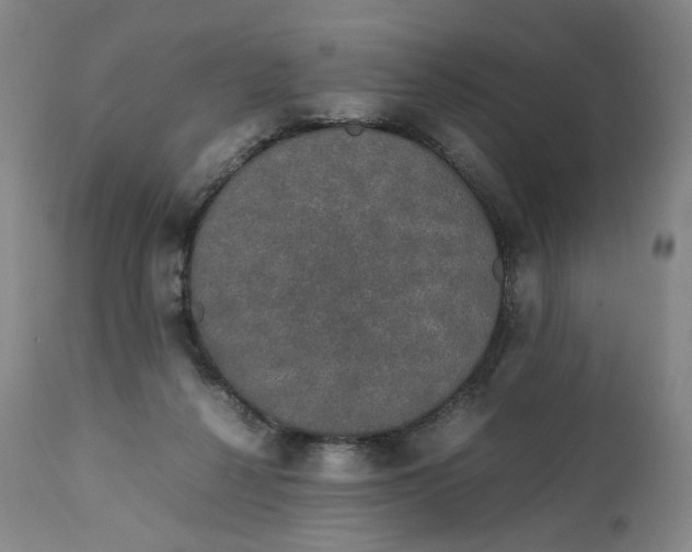 X0000111250264200907161412