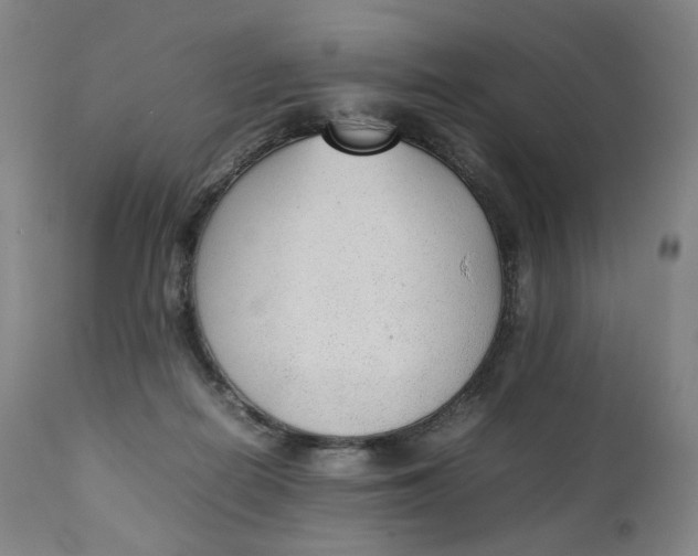 X0000111250266200907161412