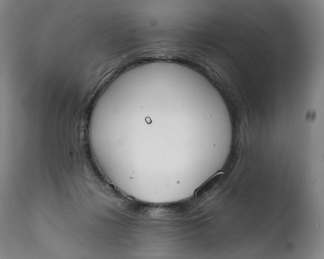 X0000111250268200907161412