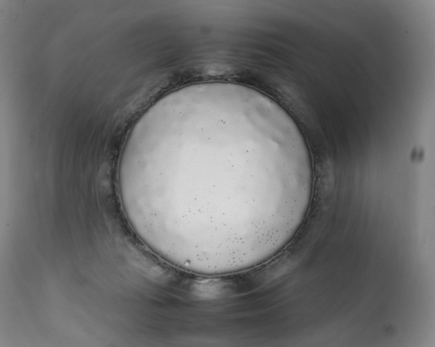 X0000111250269200907161412