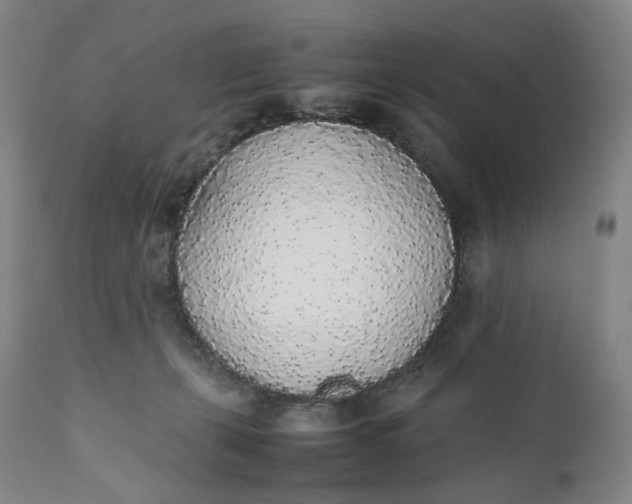 X0000111250271200907161412