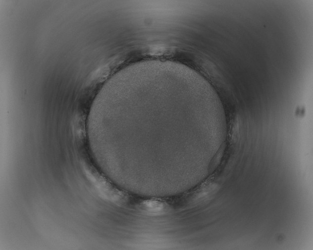 X0000111250272200907161412