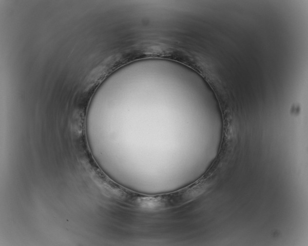 X0000111250273200907161413