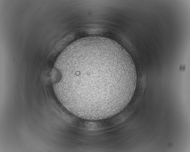 X0000111250277200907161413