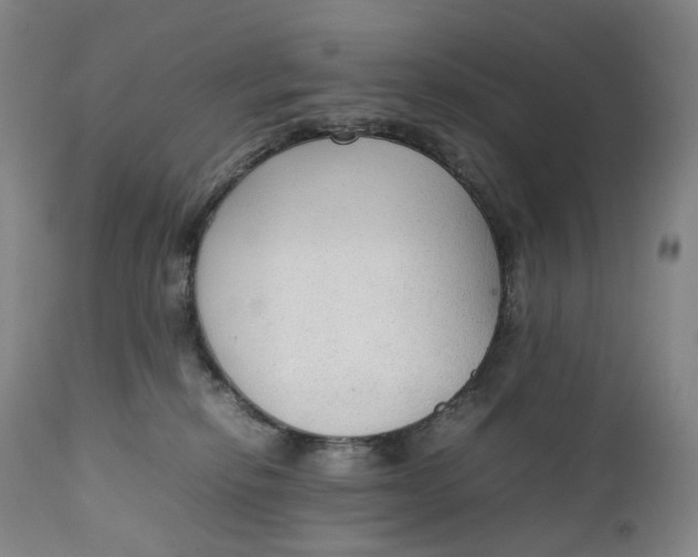 X0000111250278200907161413