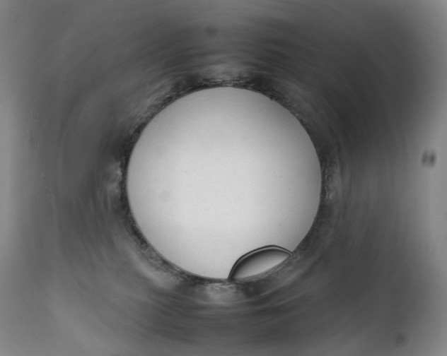 X0000111250279200907161413