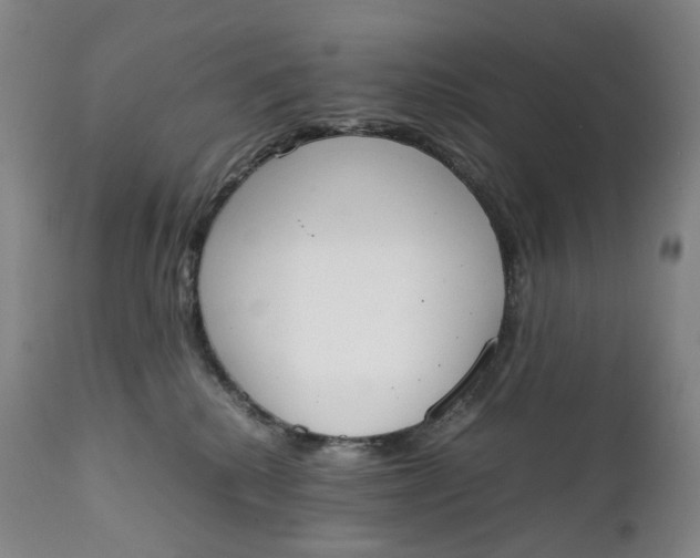 X0000111250280200907161413