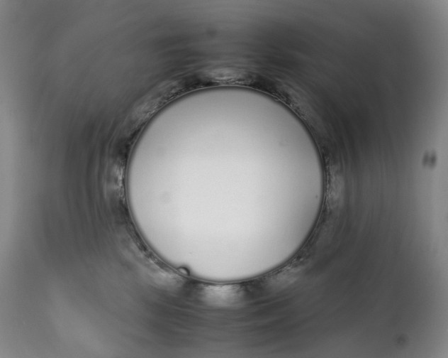 X0000111250281200907161413