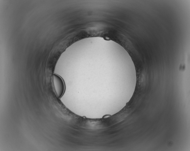 X0000111250283200907161413