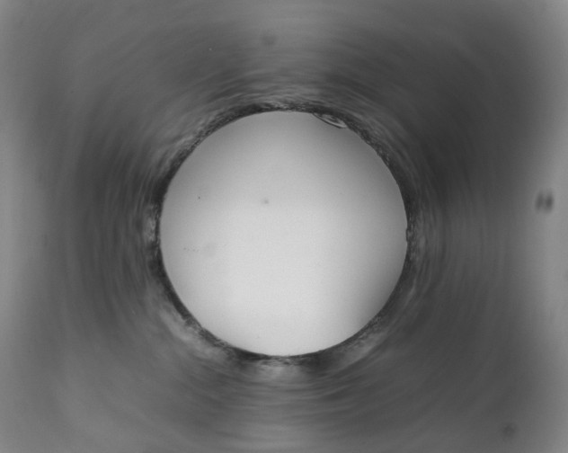 X0000111250284200907161413