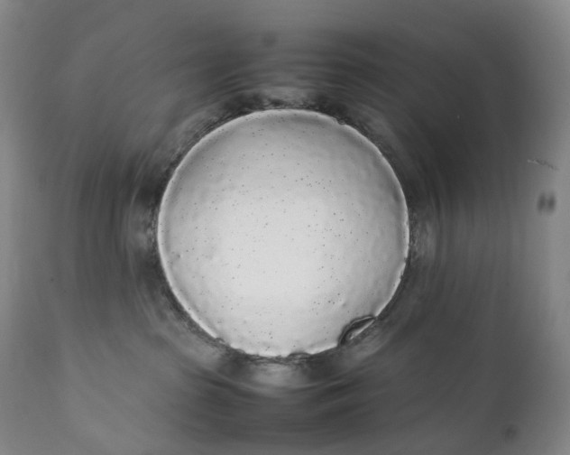 X0000111250285200907161413