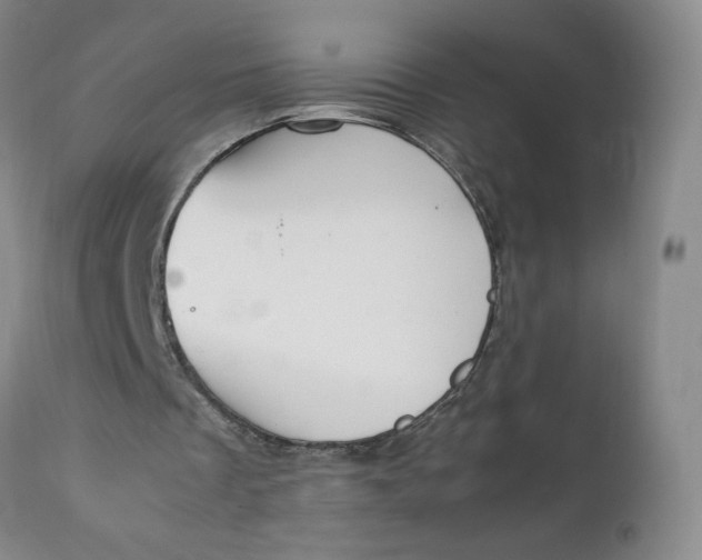 X0000111250289200907161412