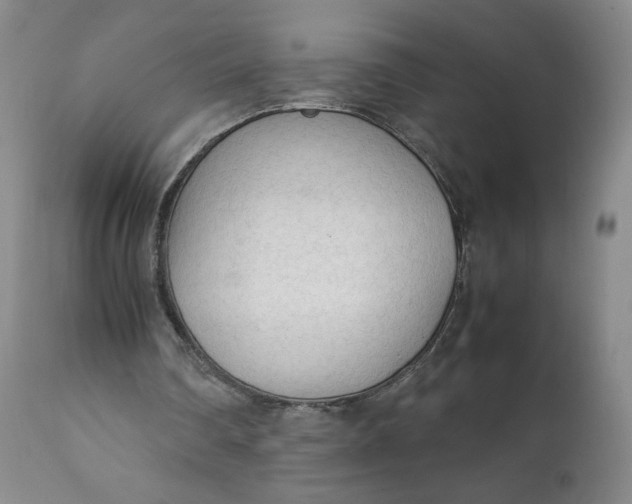 X0000111250290200907161412