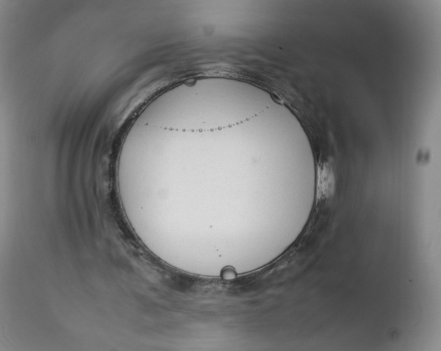 X0000111250291200907161412