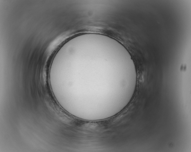 X0000111250294200907161412