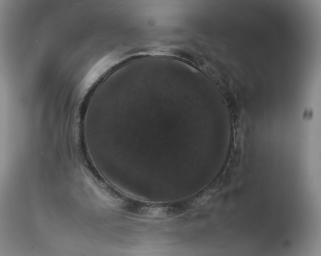 X0000111250295200907161412