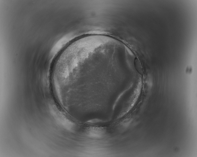 X0000111250296200907161412