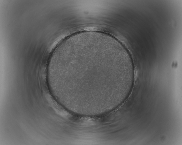 X0000111250297200907161412