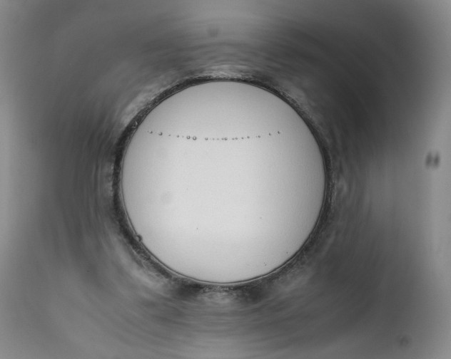 X0000111250299200907161412