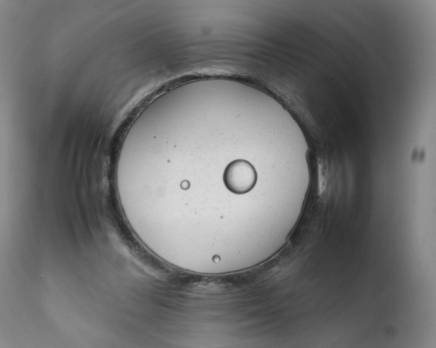 X0000111250300200907161412