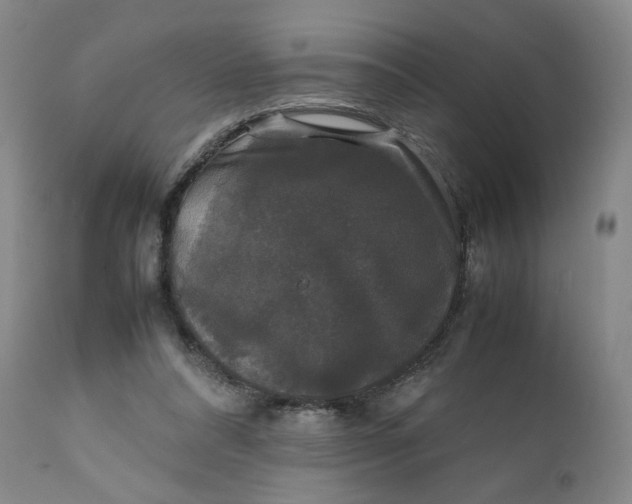 X0000111250304200907161412