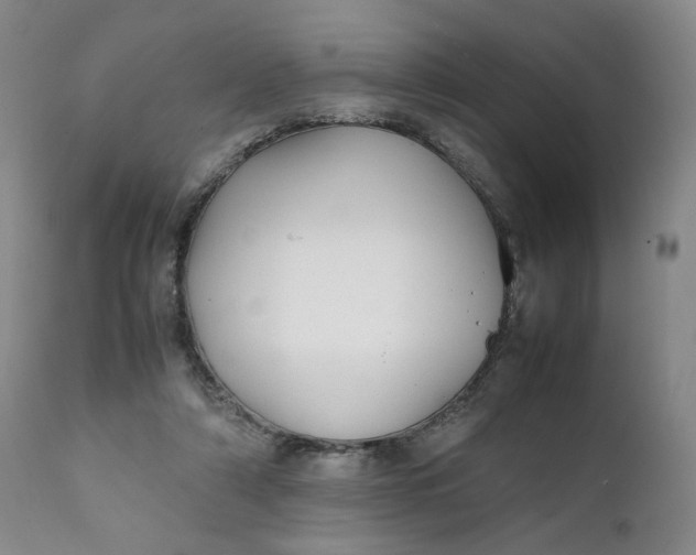 X0000111250306200907161412