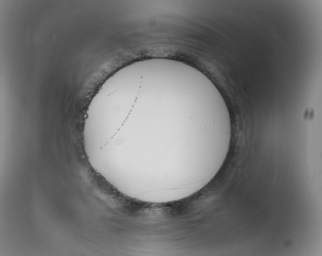 X0000111250307200907161412