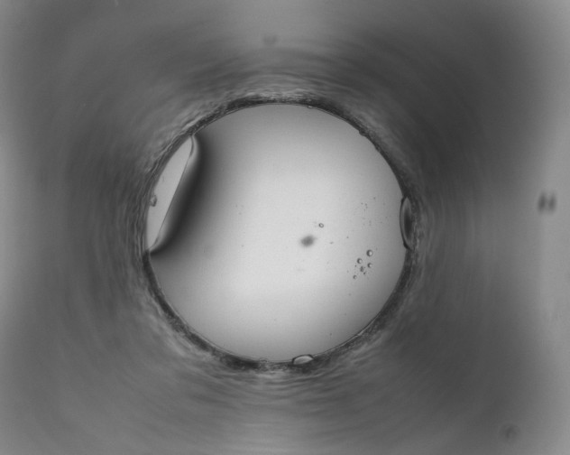 X0000111250309200907161412