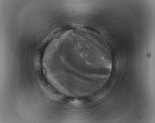 X0000111250312200907161412