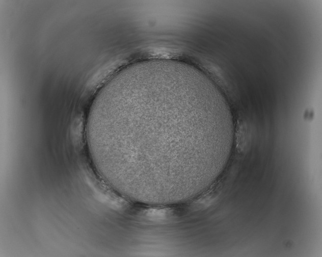 X0000111250314200907161412