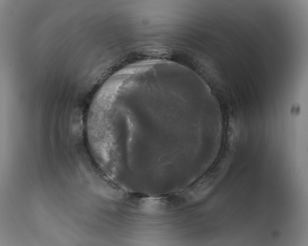 X0000111250320200907161412