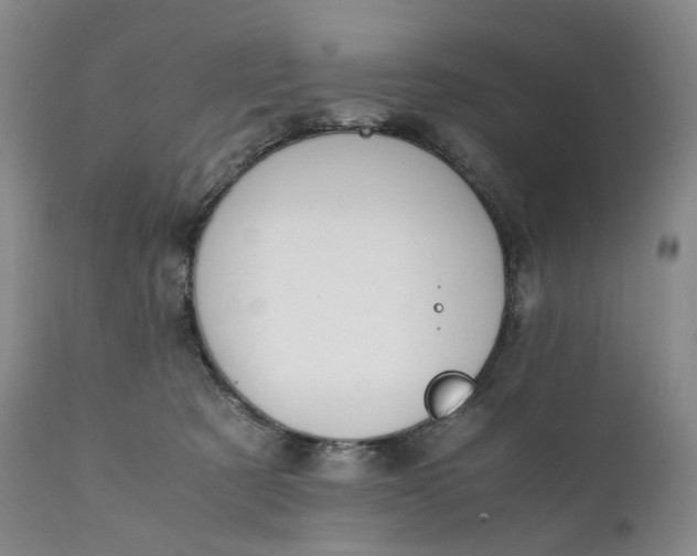 X0000111250321200907161412