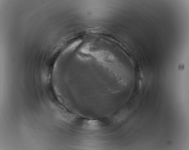 X0000111250324200907161412