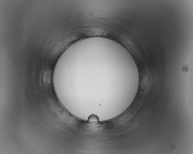 X0000111250326200907161412