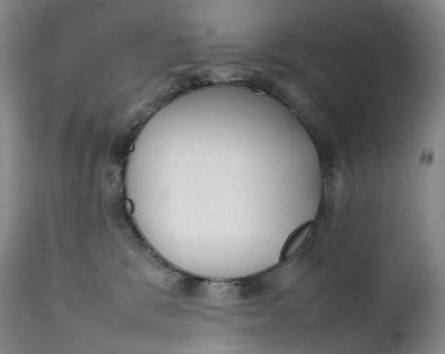 X0000111250327200907161412