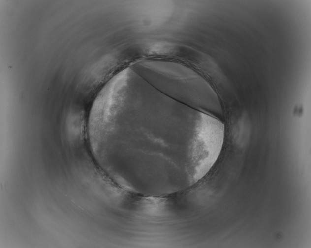 X0000111250328200907161412