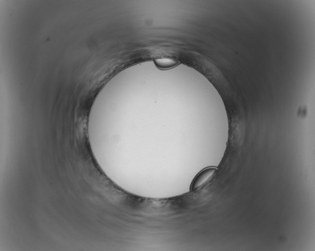 X0000111250329200907161411