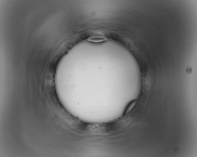 X0000111250331200907161411