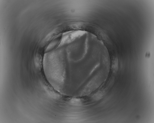 X0000111250332200907161411